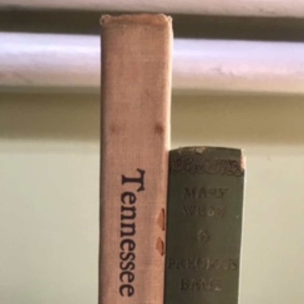 2 Vintage Hardcover Books. Wagons Full of Cotton And Precious Bane.